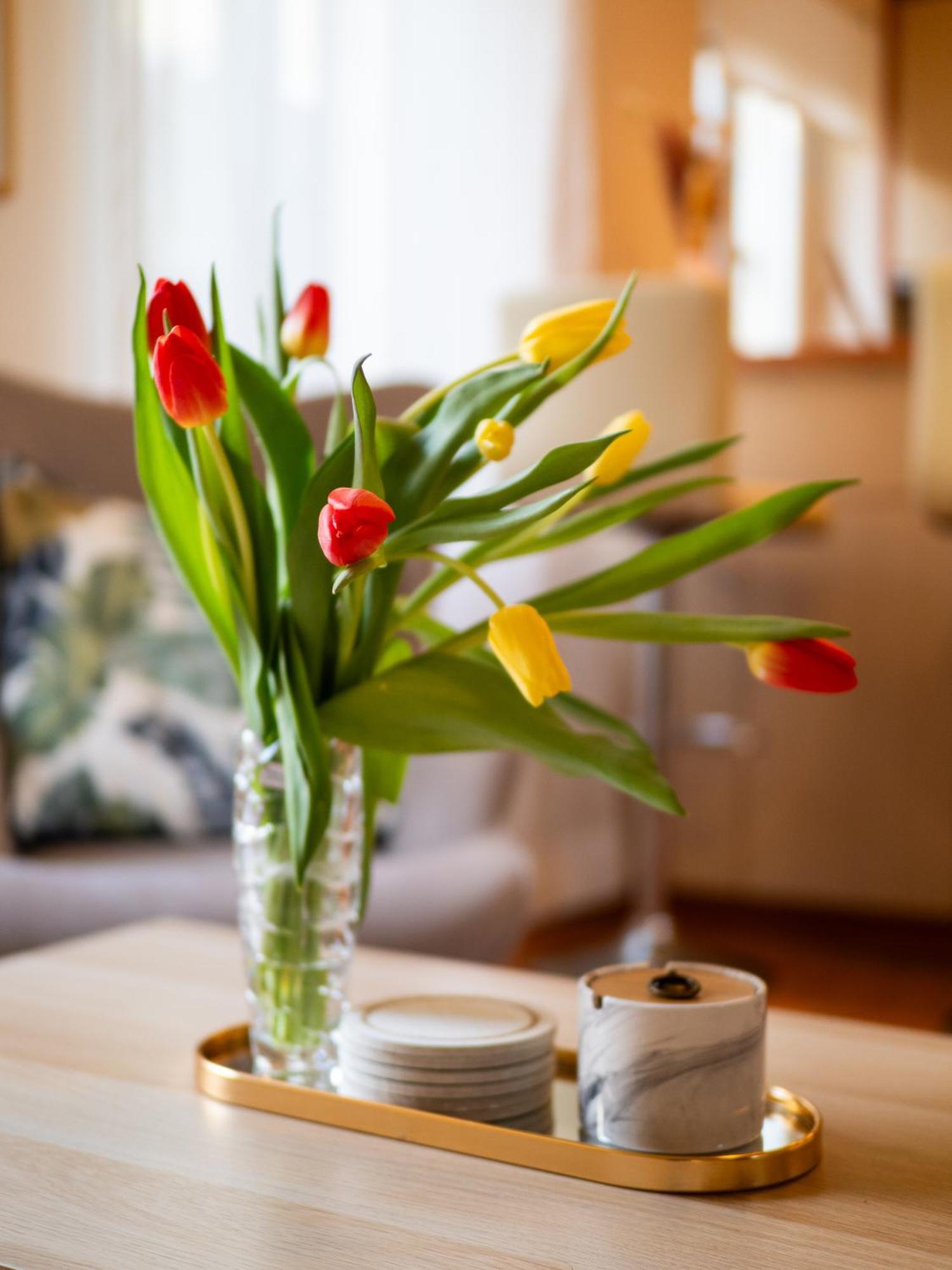 Apartament Nefertiti